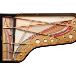 Fazioli 278_4