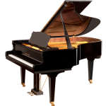 Steingraeber & Söhne Piano