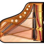 Steingraeber & Söhne Piano