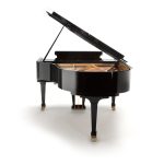 Fazioli 183