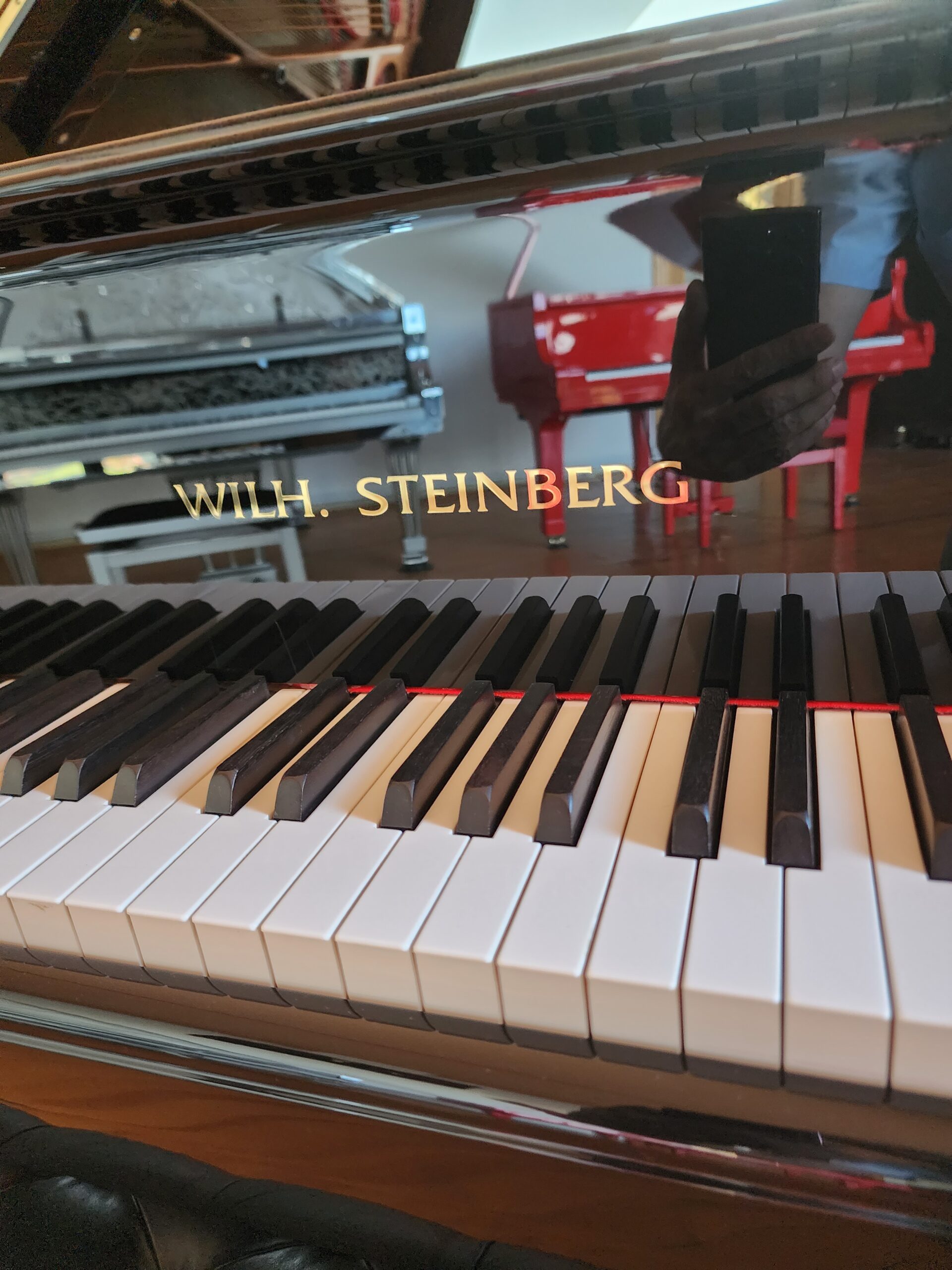 Alman Wilh. Steinberg P228 Kuyruklu Piyano (1)