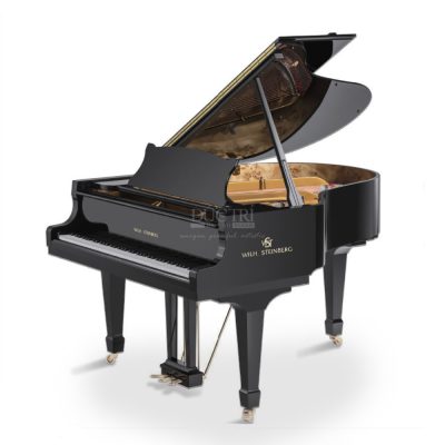 Wilh. Steinberg S212