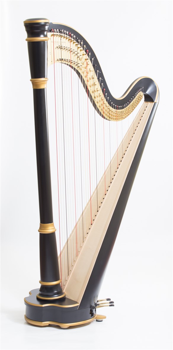 Resonance Melissa arp – detay 2