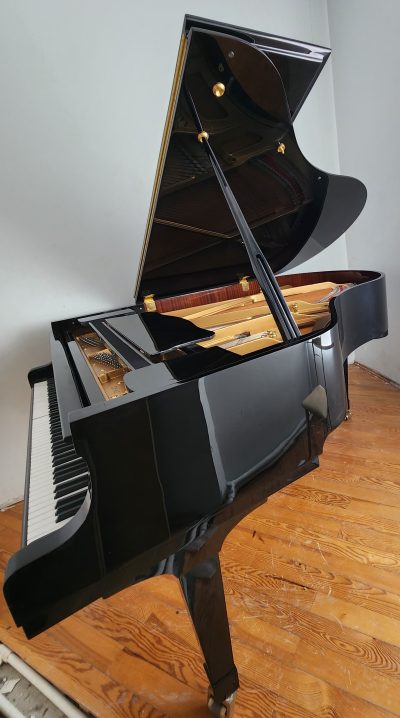 Palatino PD162