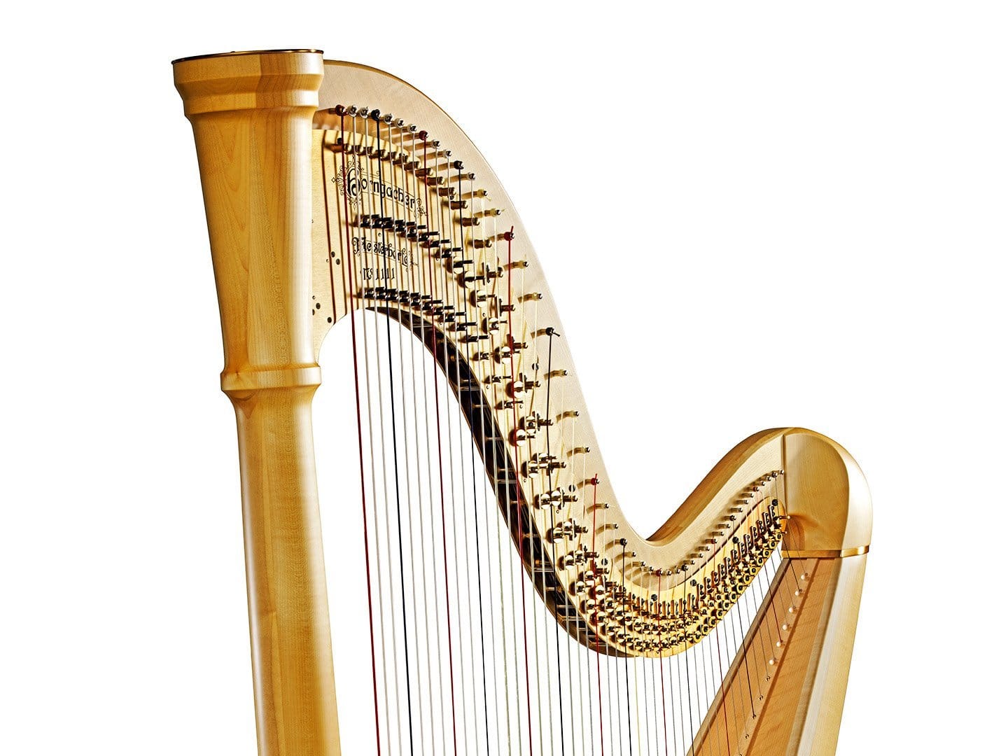Boyun Detayı