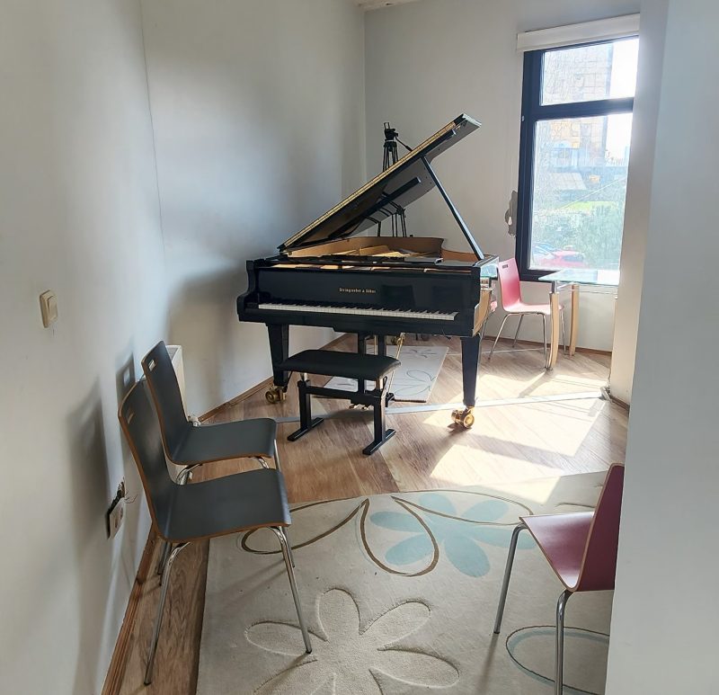 Steingraeber D232 Çalışma Odası