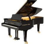 Steingraeber D232