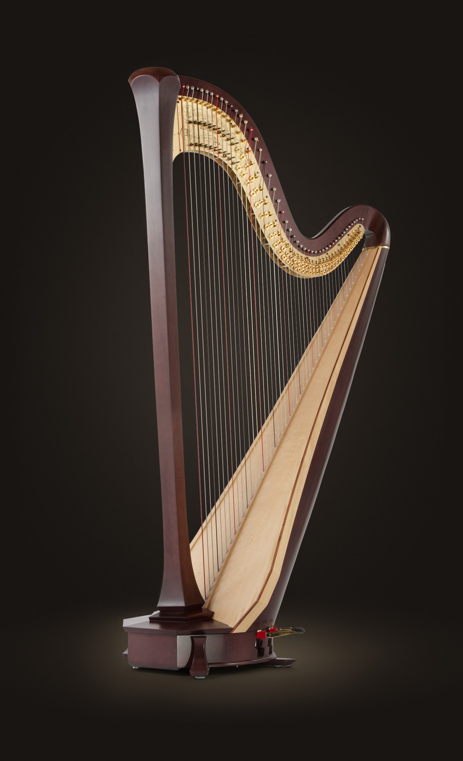 Lyon & Healy Style 30 arp