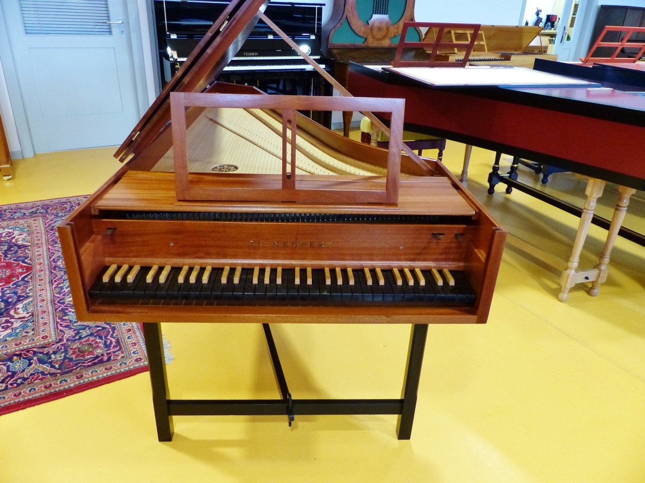 Neupert Rameau detay 3